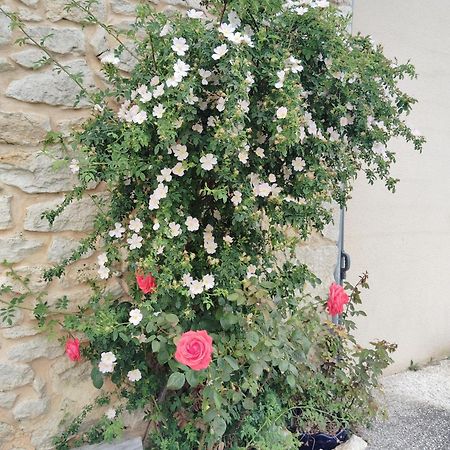 Gite L'Edenwine Doulezon Εξωτερικό φωτογραφία